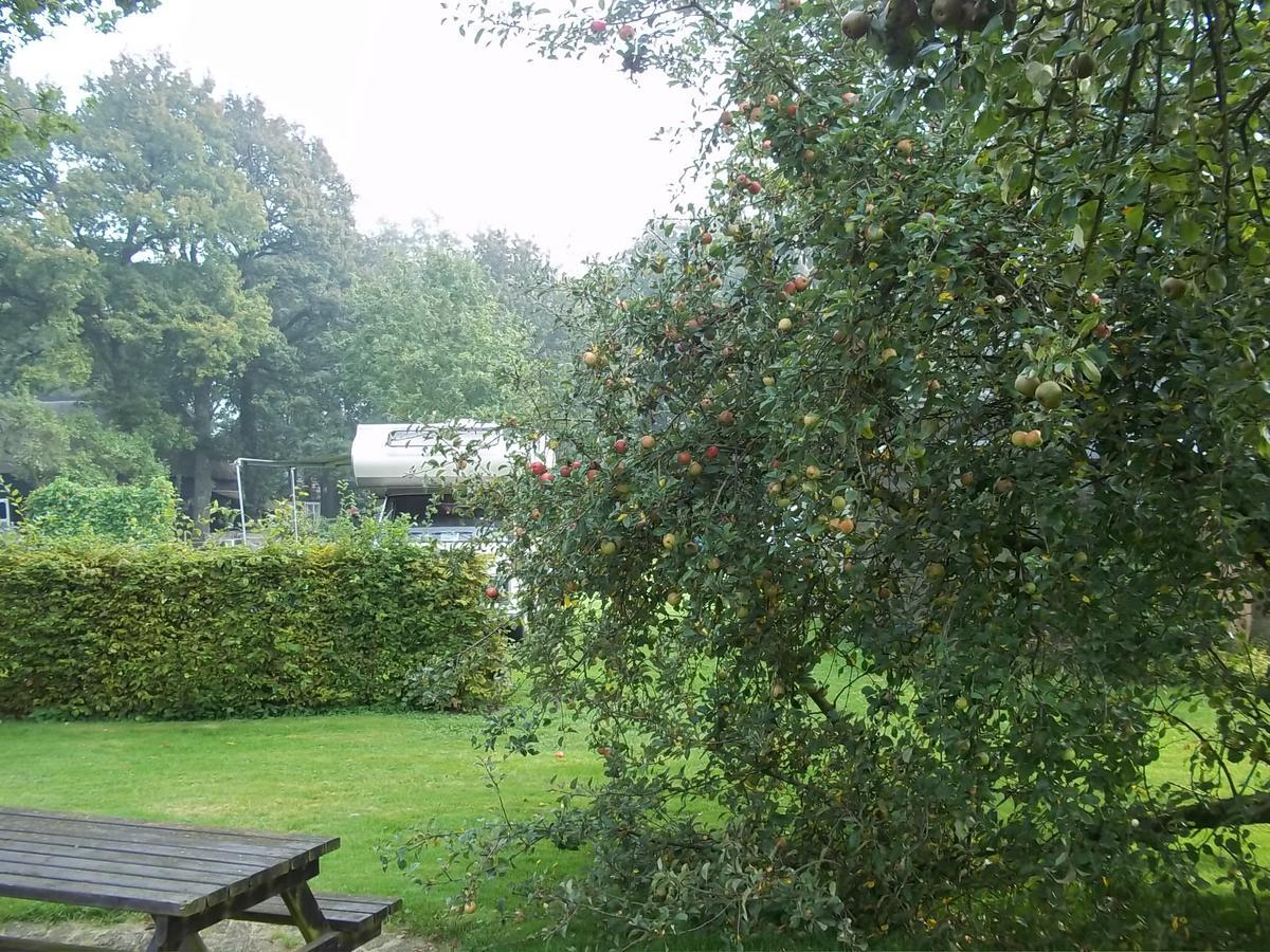 B&B Slaoperij Orvelte Exteriér fotografie