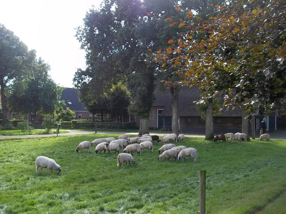 B&B Slaoperij Orvelte Exteriér fotografie