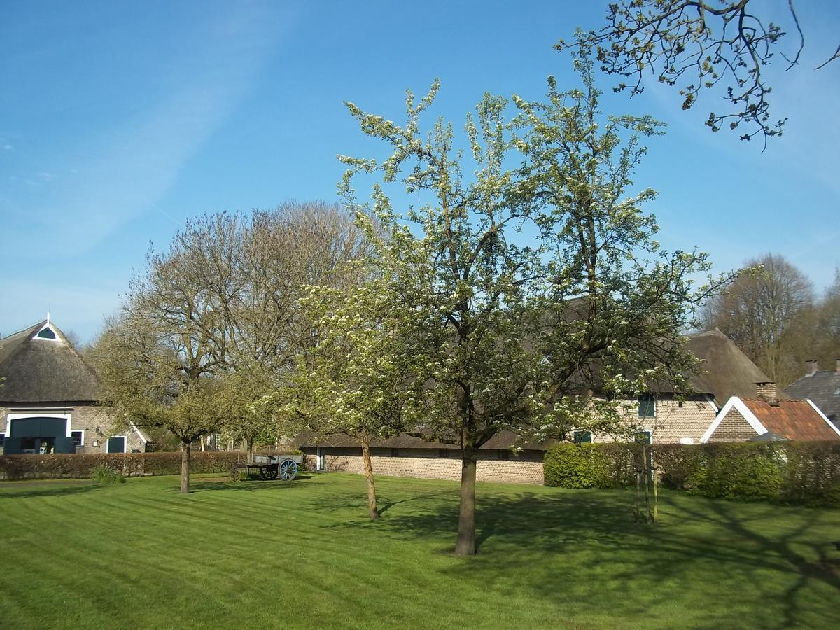 B&B Slaoperij Orvelte Exteriér fotografie